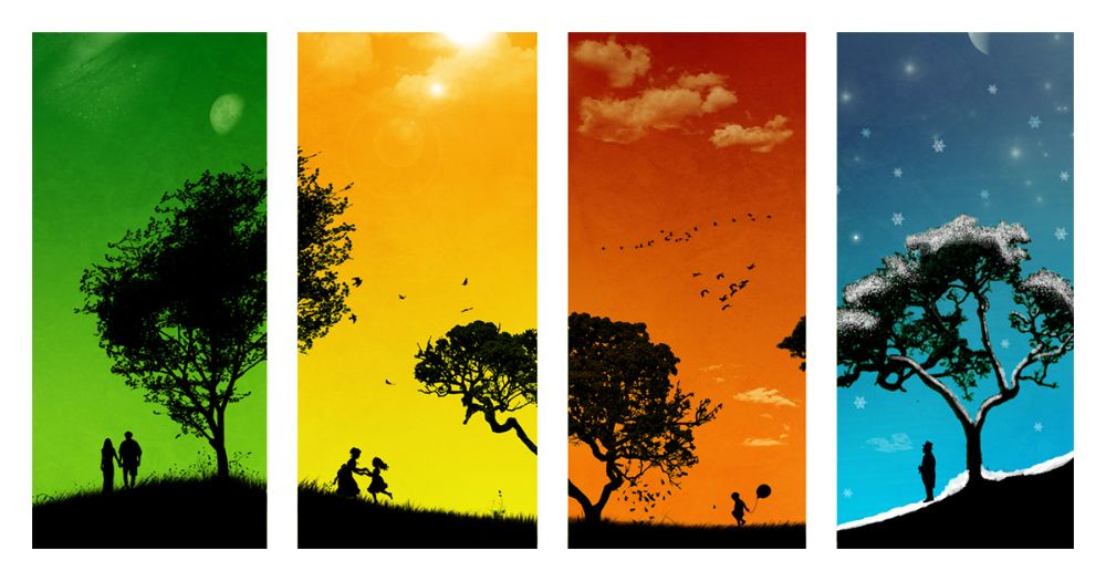 “Manali weather month-wise temperature overview”